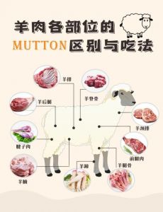 羊腰是羊的哪个部位_营养与做法大不同