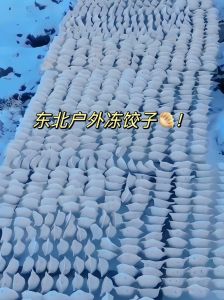 饺子没有冻会坏吗_生饺子1-2天，熟饺子夏几小时冬1-2天变质；速冻冷藏3-4天冷冻3个月