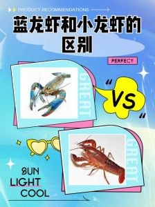 两斤小龙虾大的概念对比图_两斤小龙虾多少只？规格不同差异大