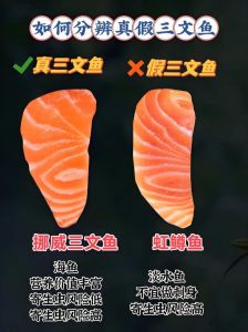 真假三文鱼鉴别(图片)_如何辨别真假三文鱼？