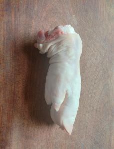 猪脚是猪蹄吗_猪脚与猪蹄的区别及做法