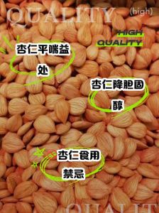 杏仁永久入口在线：探索健康食材的多样做法与美食文化
