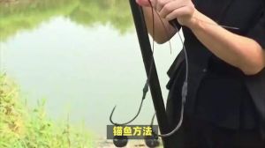 锚鱼的正确方法图解_选底灵活，线材有别，应对挂底有妙招