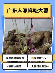 大薯的做法大全家常_香脆软糯糖水煲汤皆宜