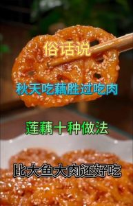 藕10种做法_凉拌煲汤小炒，家常菜不重样