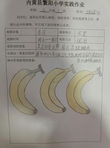 香蕉精产国品二产区的特点解析与食材文化探究