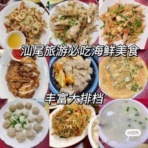 乱炖肉短篇合集：公交车上的美味佳肴与传统食文化探索