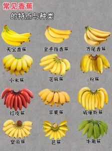 探究国产香蕉口感偏差的原因：从品种到种植方式的多重因素分析