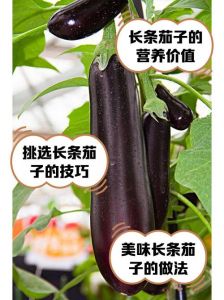 细长茄子的家常做法_糖醋茄子选嫩茄，盐杀挤油更入味