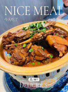 焖鹅做法大全家常_家常美味，鲜嫩软烂！