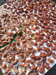 广丰柚子皮干的做法_香辣入味，红烧稀饭皆宜！