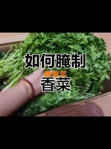 腌香菜正确腌制方法_香料煨煮腌出鲜香