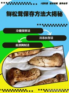 冷冻松茸的吃法及做法_冷冻松茸怎么解冻？做法与菜谱分享