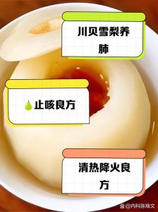 川贝雪梨膏的正确做法_食材+做法，润肺好帮手