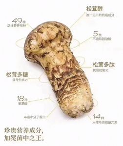 松茸要不要焯水再炒_松茸不用焯水，即炒鲜香，怎么保存？