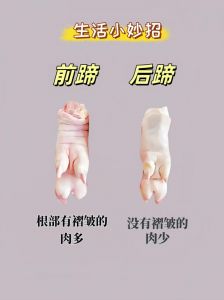 猪爪怎么分前蹄后蹄_猪前蹄卤煮，后蹄煲汤