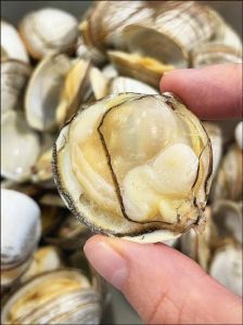白白圆圆的海鲜叫什么_瑶柱海瓜子贵妃蚌，海鲜丸子火锅汤品美味
