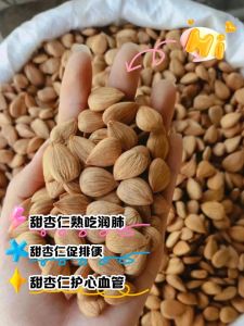 杏仁蛋白质含量高吗_杏仁高蛋白，但杏仁露可能少，适量吃好！