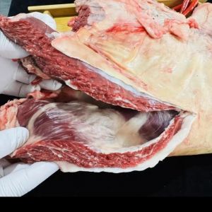 后熟期肉的特征是什么_后熟排酸吃肉正当时，变质变味赶紧扔