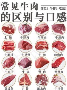 完整牛外脊位置图_煎牛排嫩，炒外脊香，补气血好牛肉！