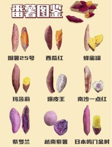 宜兴话叫红薯叫山芋吗_宜兴红薯叫山芋吗？