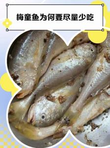 梅童鱼属于什么档次_大小新鲜看品质，东海黄海产量高