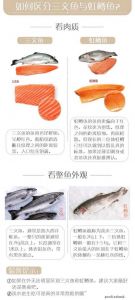 洄游鲑鱼是三文鱼吗_生命旅程的壮丽与奉献