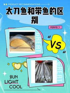 海刀鱼是带鱼吗_刀鱼带鱼别混淆，长相不同味道也不同