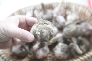 法莫替丁需要冰箱保存吗_法莫替丁片无需冷藏，常温保存治胃病