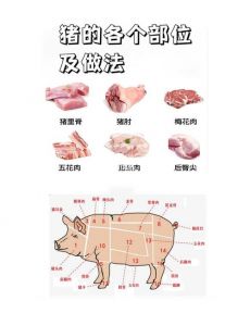 猪边肉是哪个部位_肥而不腻，红烧炖煮皆宜
