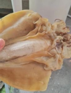 干墨鱼怎么处理干净_冷水温水加盐黄酒，处理后炒韭菜美味