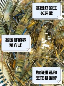 摆地摊卖基围虾要预肥水吗_基围虾养殖卖虾技巧与利润