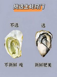 海蛎子和生蚝的区别_生蚝和海蛎子有啥区别？