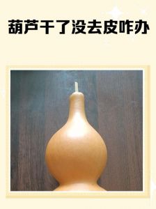 干透的葫芦怎么处理_老葫芦阴干去皮保养技巧