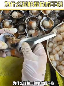 有瑶柱的贝壳叫什么_鲜美珍贵，营养丰富，烹饪百搭！