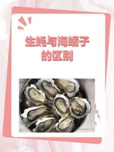 海蛎子和生蚝有啥区别_海蛎子生蚝是啥？营养美味要注意