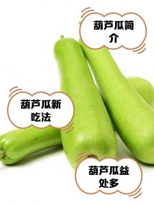 瓠瓜跟西葫芦的区别_区别与做法