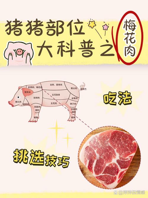 眉条肉在猪身上哪个位置_猪背脊佳肴,肥瘦适中,口感鲜美,煎烤炖炒皆宜 眉条肉在猪身上哪个位置_猪背脊佳肴,肥瘦适中,口感鲜美,煎烤炖炒皆宜