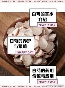 白芍为什么要煮去皮_传统智慧，平衡药性