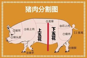 上中下五花肉的区别_五花肉上中下怎么选？分清肥瘦做对菜！