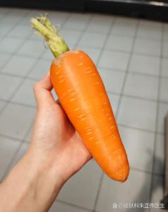 十二月份适合吃胡萝卜吗_冬天吃胡萝卜润燥明目