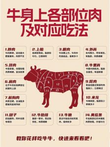 牛淋巴在哪个位置_牛肉淋巴结多在哪？检疫很重要，别多吃！