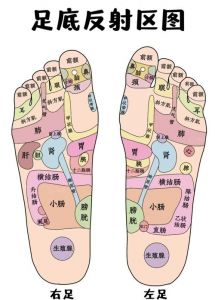 右脚疼痛部位图解图片_脚痛别硬扛！脚底跟疼或痛风？