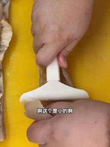 猪毛深入猪皮以下很硬怎么去除_猪皮深烙去毛术，高效实用去硬毛