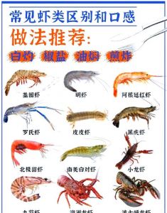 比基围虾大的虾叫什么_罗氏虾入侵湄公河，生态影响引关注