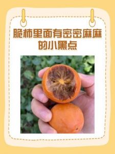 已经切开的脆柿子很涩怎么办_脆柿子去涩妙招，快速解涩吃法