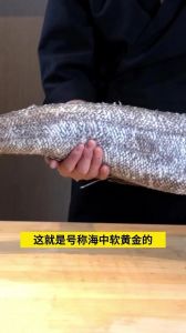 牙鳕鱼算深海鱼吗_牙鳕鱼不是鳕鱼，深海好鱼Omega-3丰富