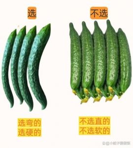 短黄瓜和长黄瓜的区别_短黄瓜脆甜生吃，长黄瓜清炒营养