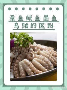 尤鱼和墨鱼是不是同一种鱼_尤鱼墨鱼怎么分？体型速度壳不同