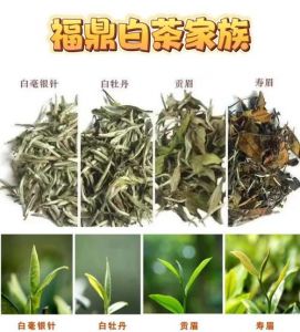 白茶为什么叫短命茶_白茶虽短命，但越陈越香，储存需得当